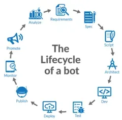 the-lifecycle